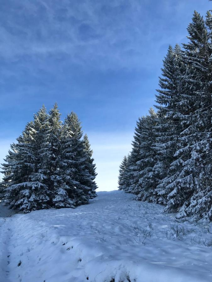 Ferienwohnung Morgentau Am Rande Der Wildnis Sibratsgfall Luaran gambar
