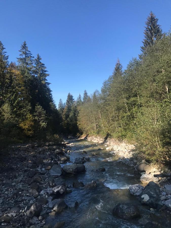 Ferienwohnung Morgentau Am Rande Der Wildnis Sibratsgfall Luaran gambar